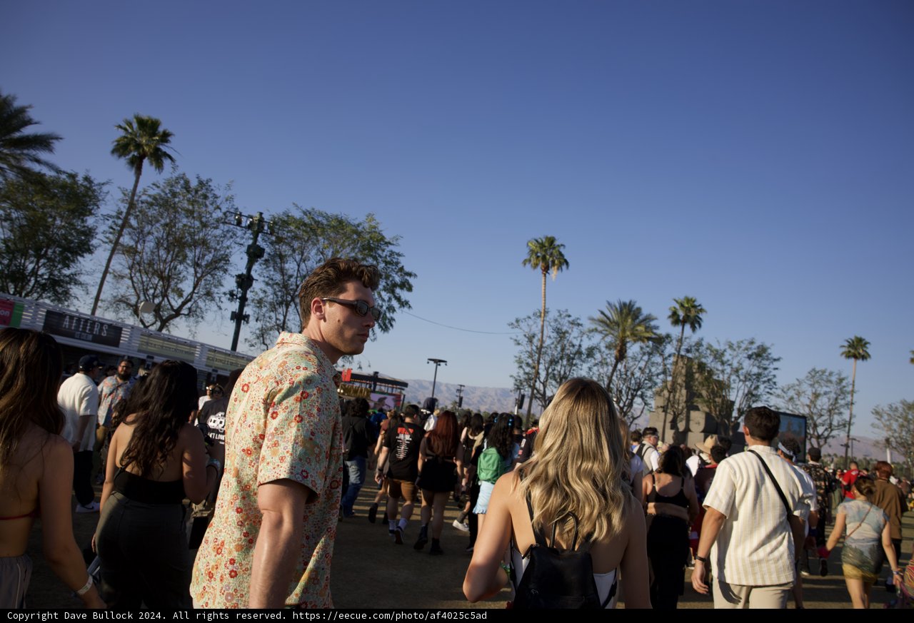 Strolls Under the Palms: Coachella 2024