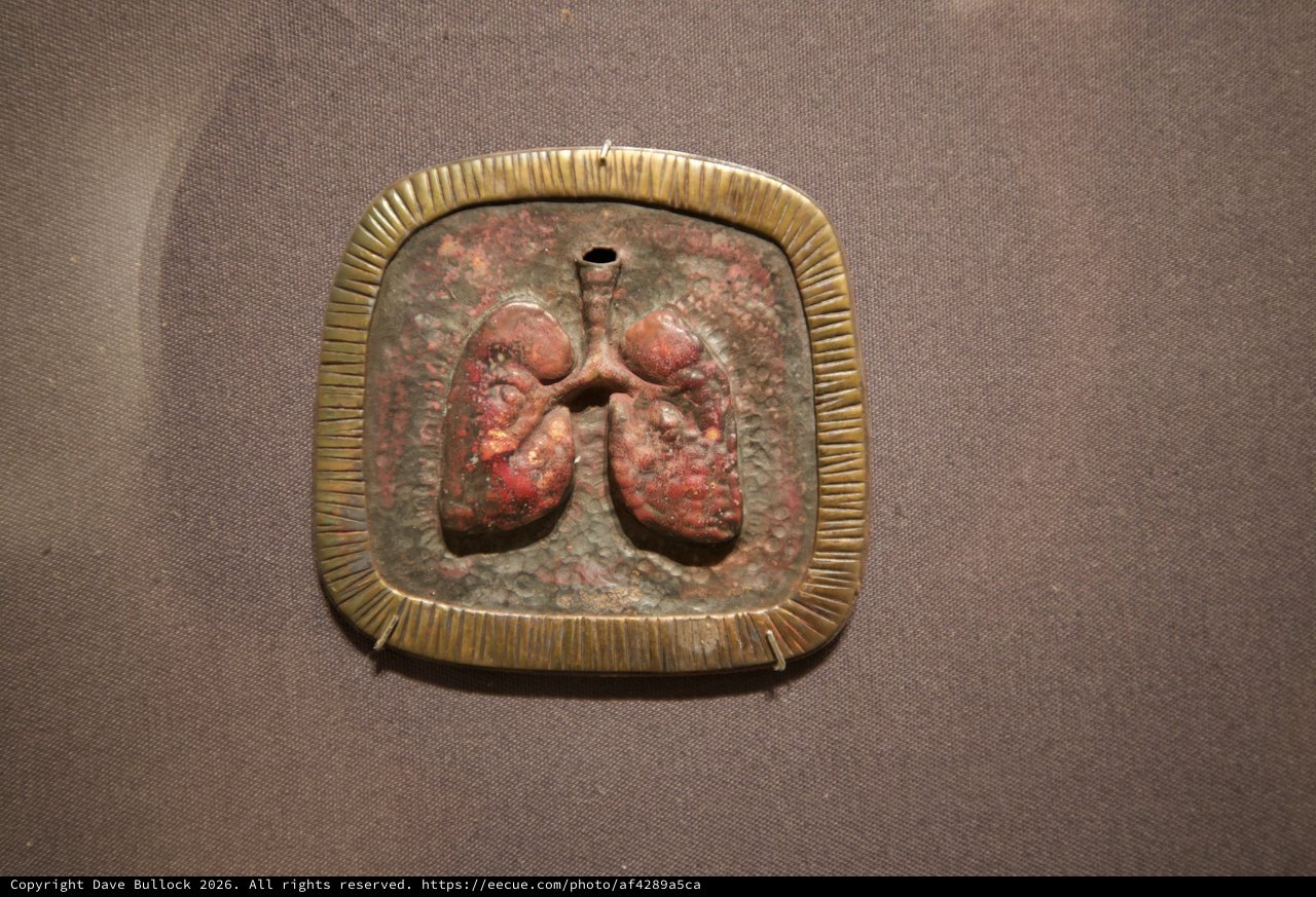 Ancient Anatomical Relief with Lungs Representation