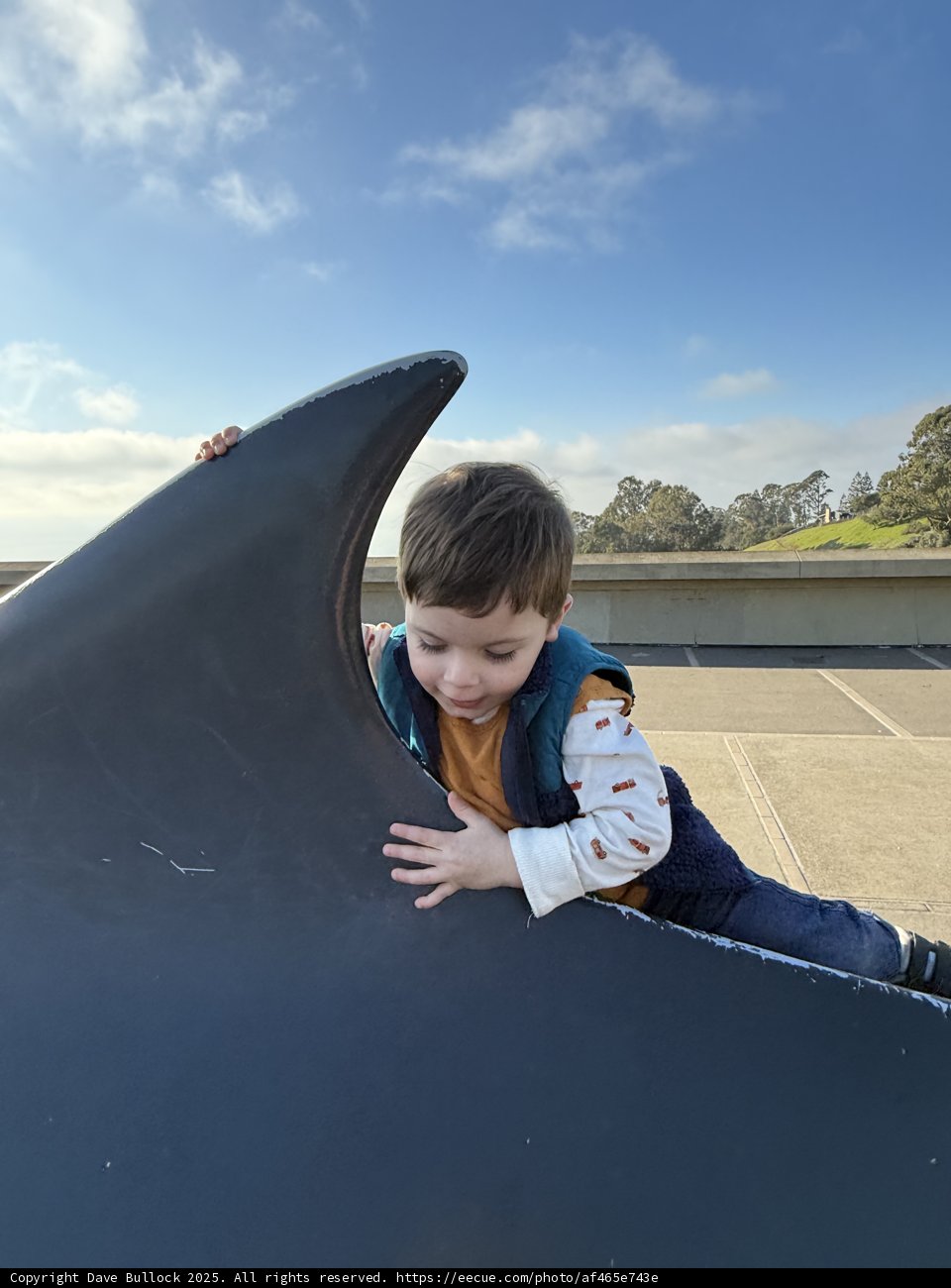 Adventure at the Lawrence Hall of Science