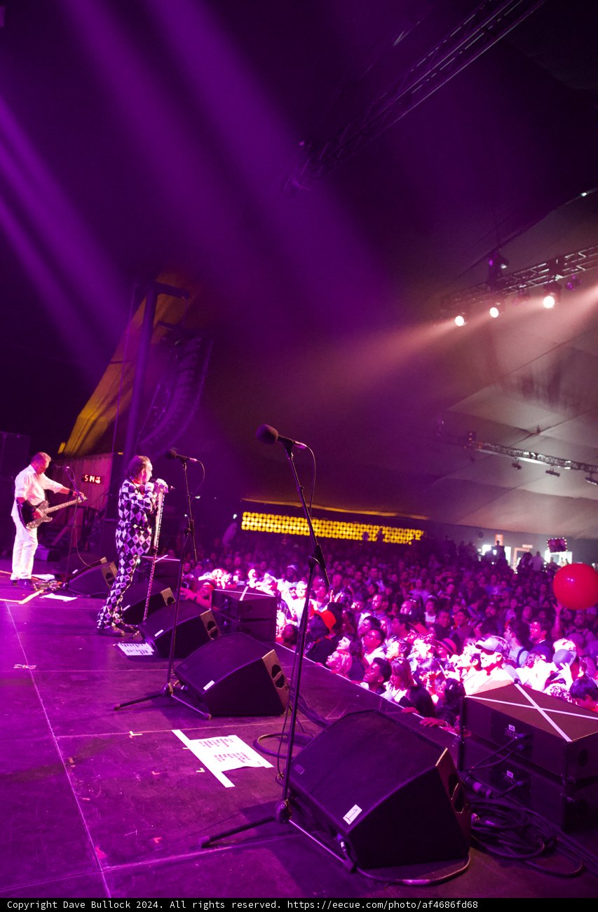 Electric Vibes Under Purple Lights at Coachella 2024