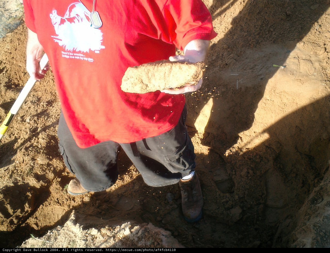 The Young Archaeologist