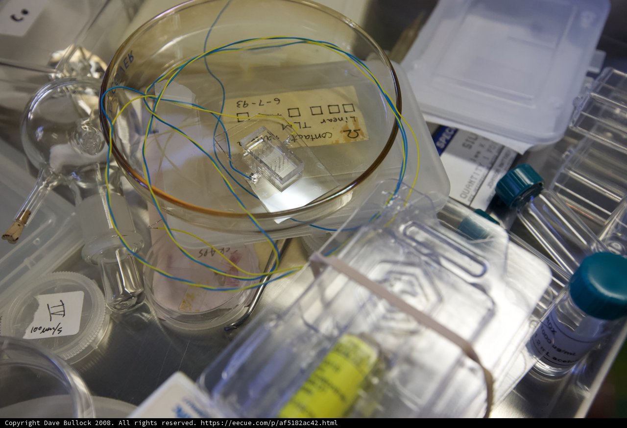 Laboratory Essentials