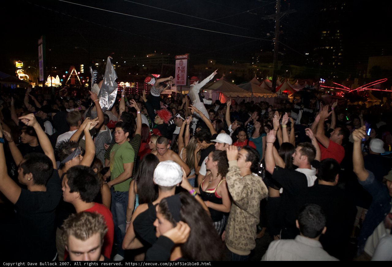 Nocturnal Crowd