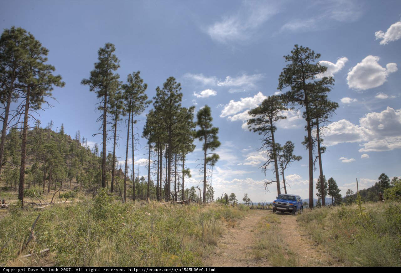 Blue-J in Dome Wilderness