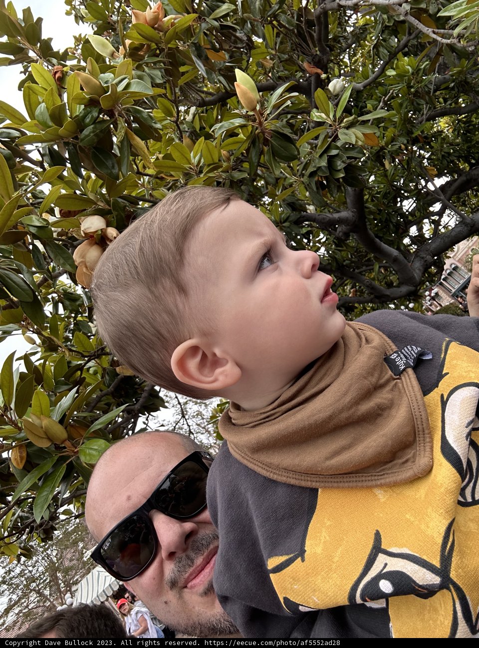Magical Moments at Disneyland