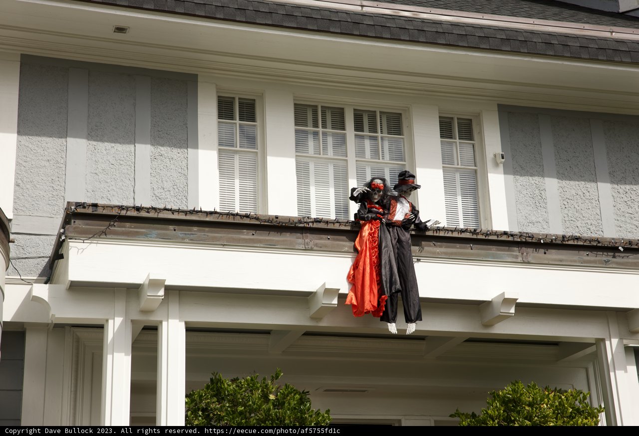 Haunting Doll Display in San Francisco