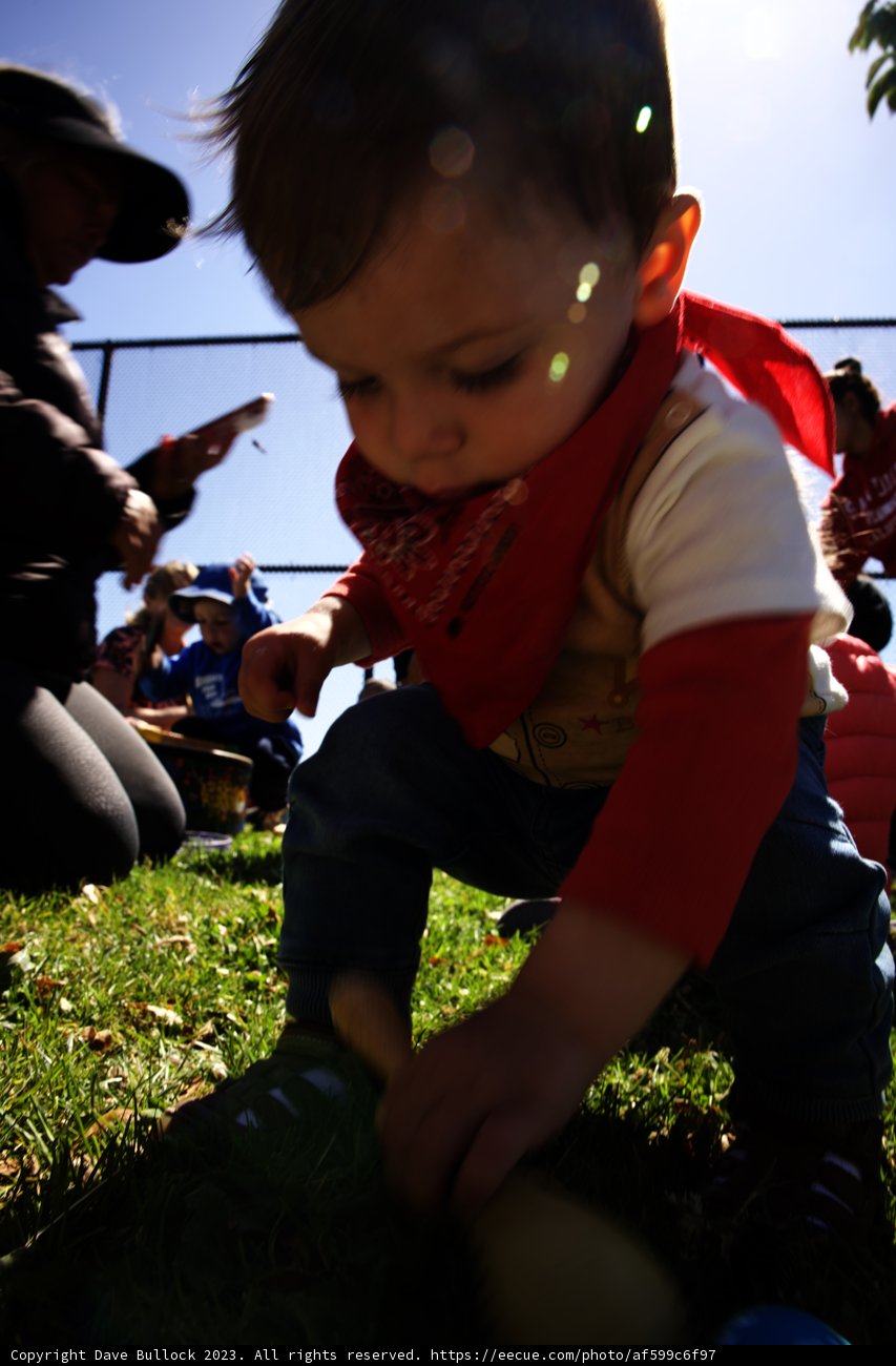 The Budding Sportsman: Wesley's First Swing