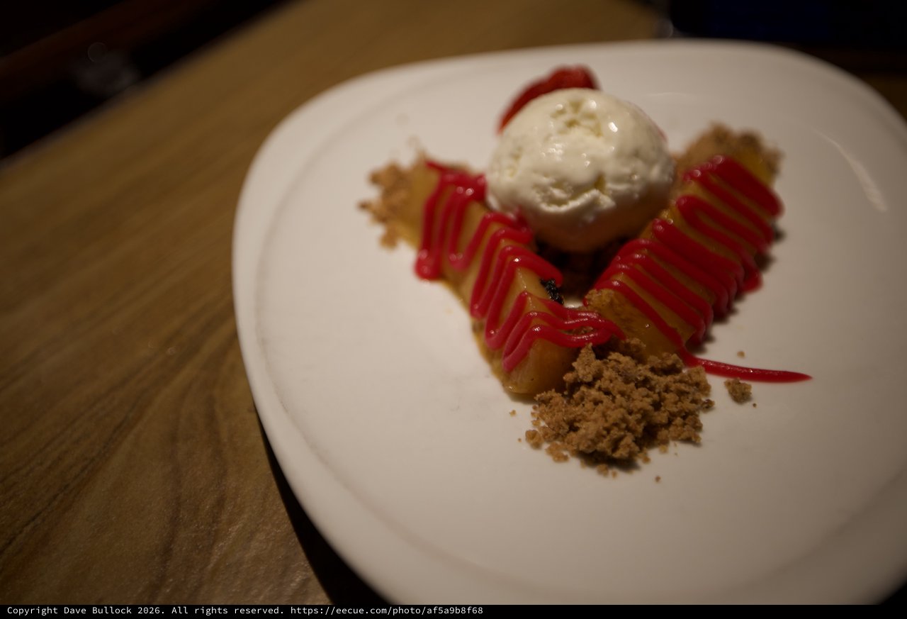 Artisan Dessert Plating with Ice Cream and Raspberry Coulis