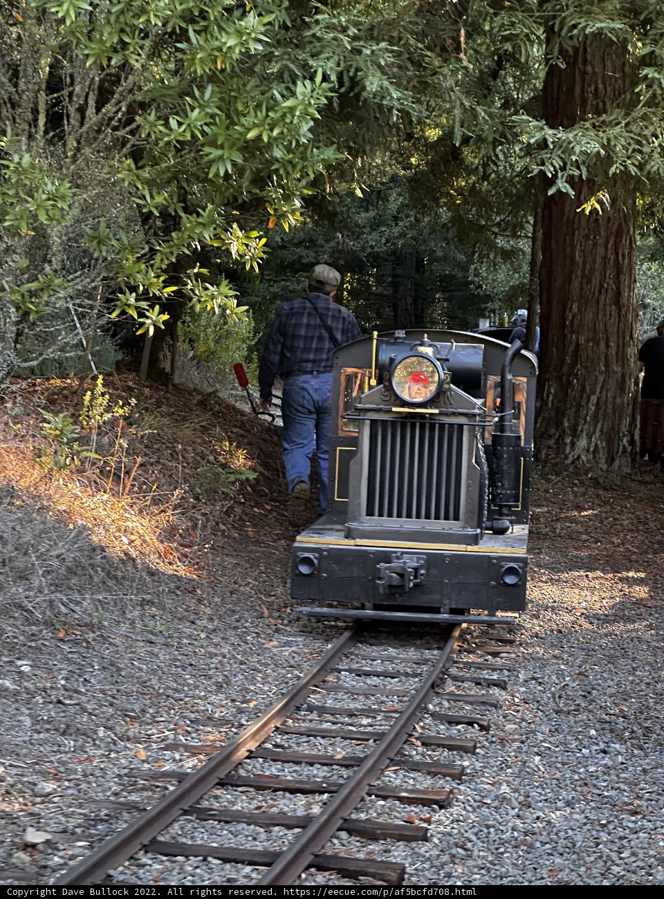 Train Adventure in Tilden Regional Park