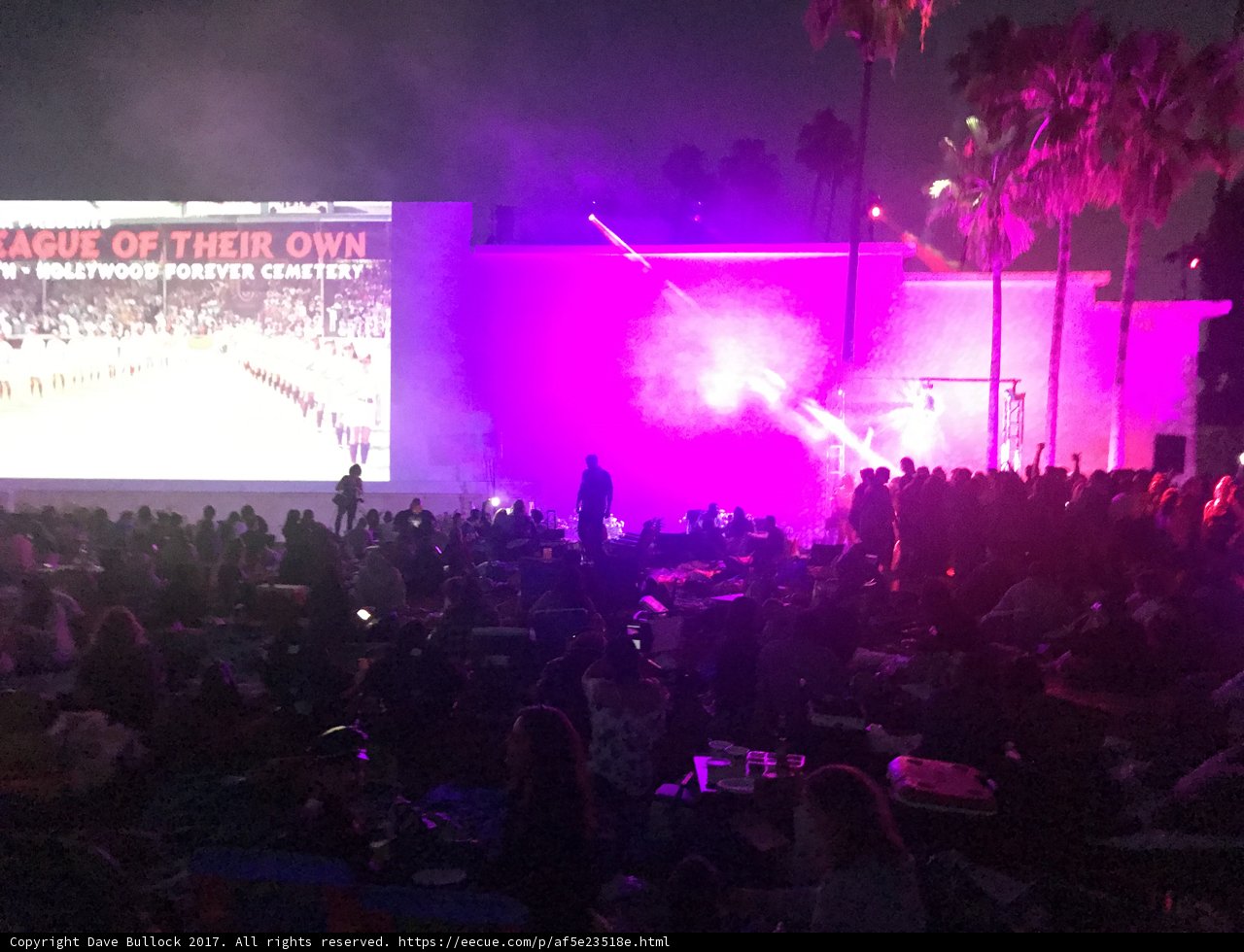 Movie Night Madness