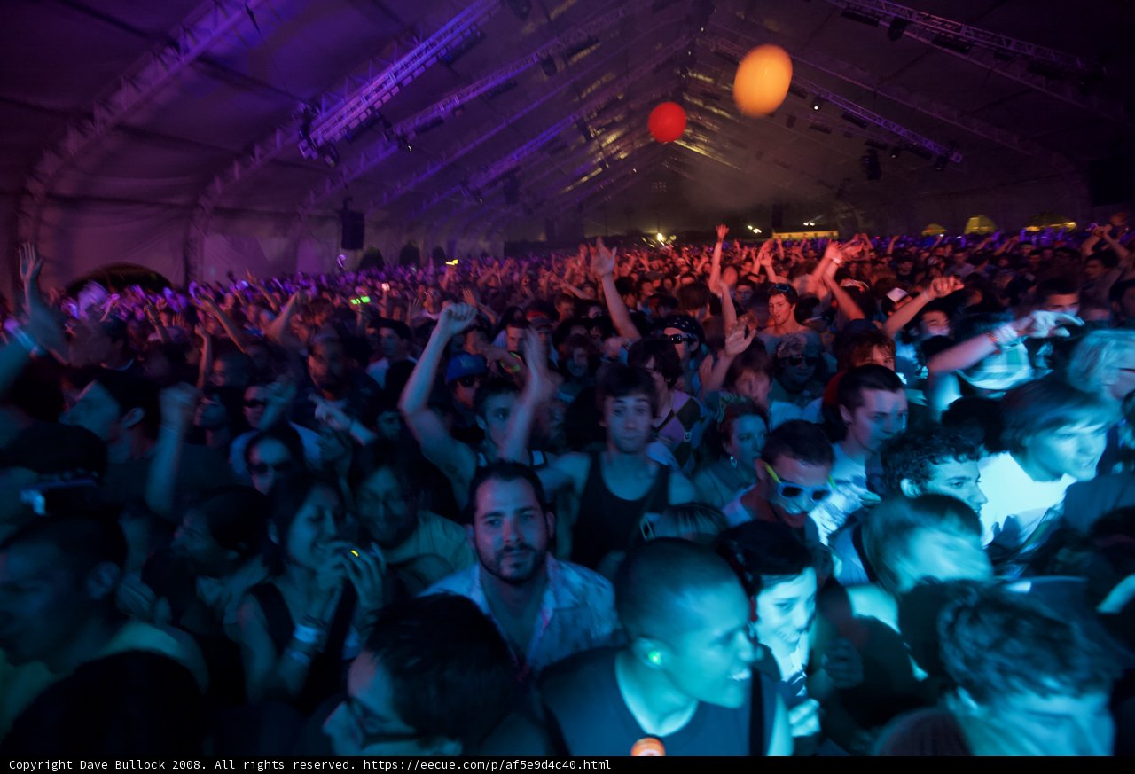 Electrifying Crowd at Coachella 2008