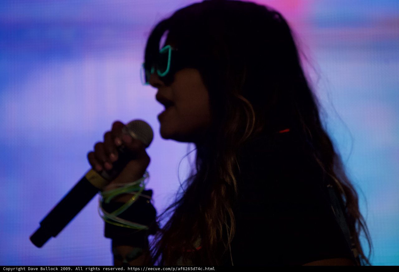 Rocking the Mic at Coachella