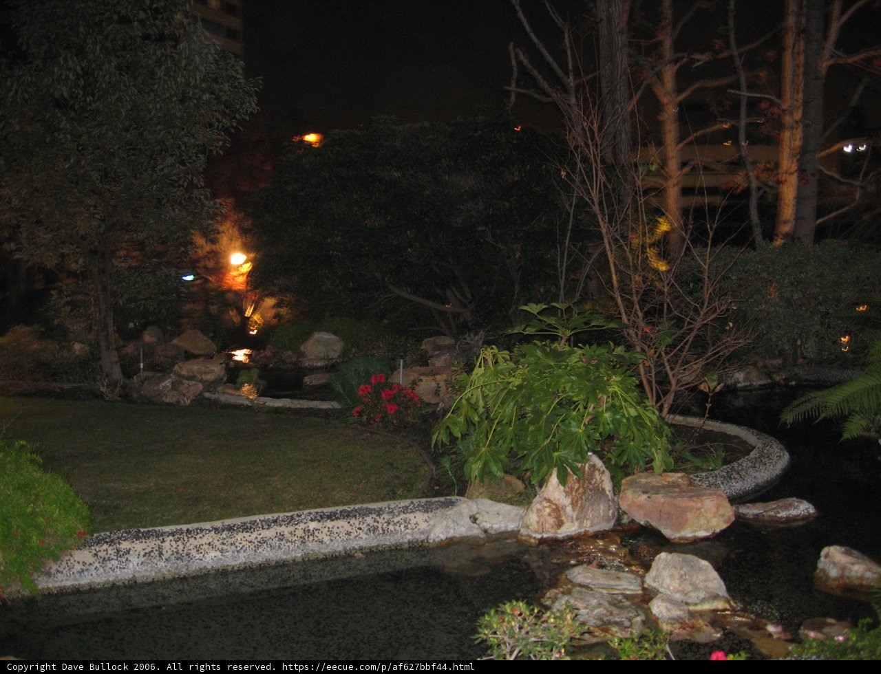 Serenity in the Night Garden