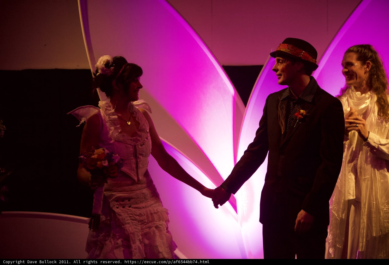 A Purple Dream Wedding