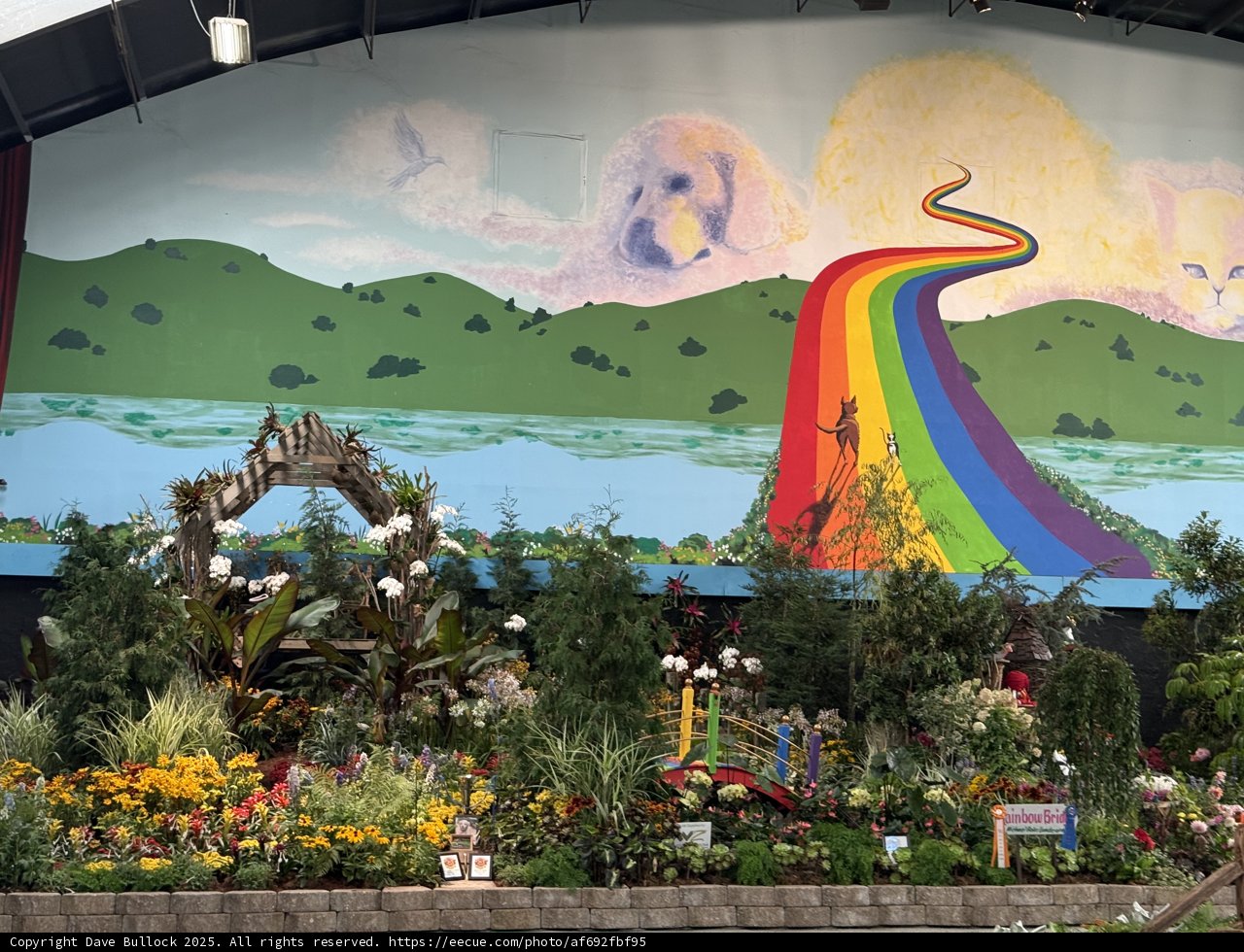 Nature's Canvas: A Vibrant Outdoor Mural