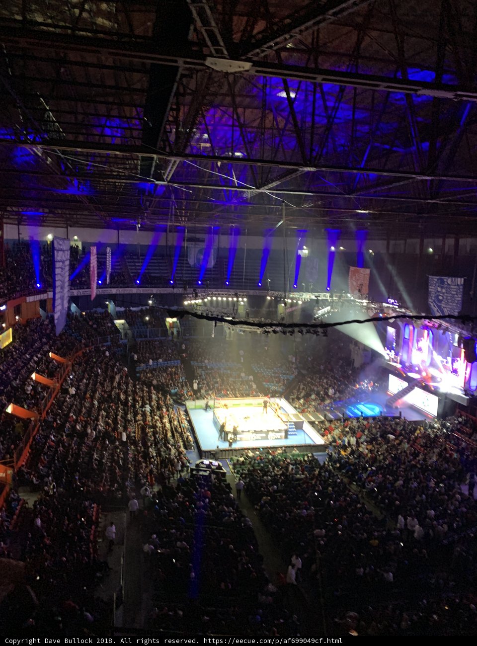 Spotlight on the Ring