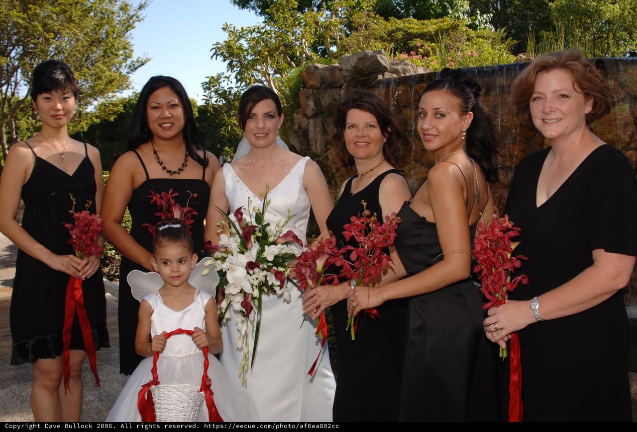 Bridal Party Poses at Outdoor Wedding Venue
