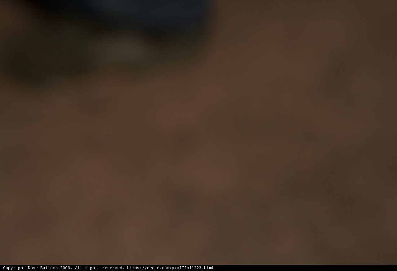 Blurry Sportsman on Wooden Floor