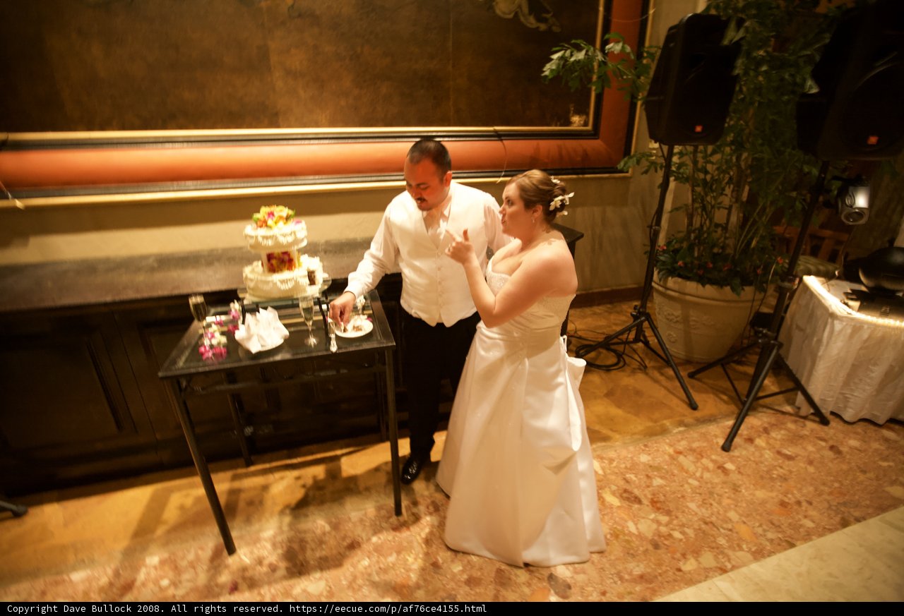 Wedding Celebration Cake