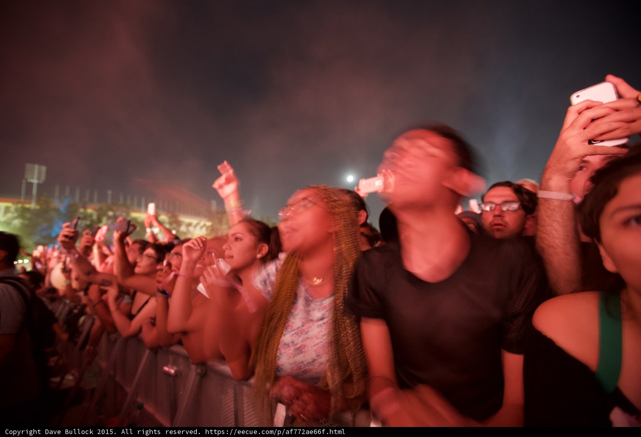 FYF Fest Front Barrier Woman Braids Floral Shirt Man Motion Blur Drinking Water Moon Phones Night