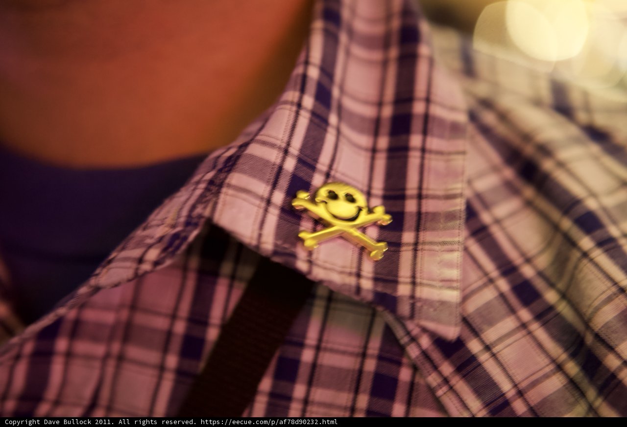 Skull and Crossbones Accessory