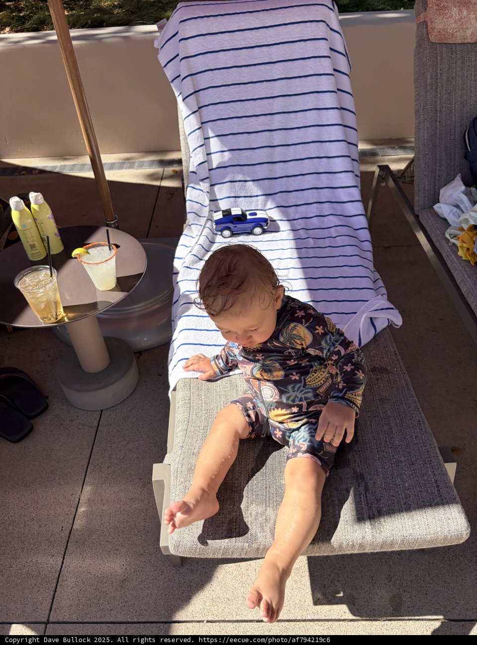 Sunny Playtime in Carmel