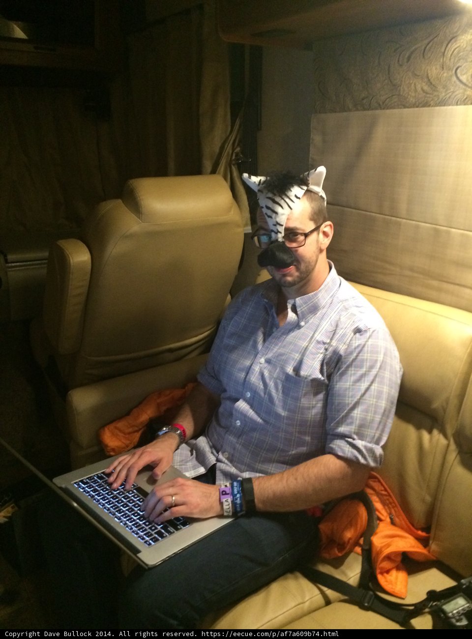 The Cat Man in his Empire Polo Club Armchair