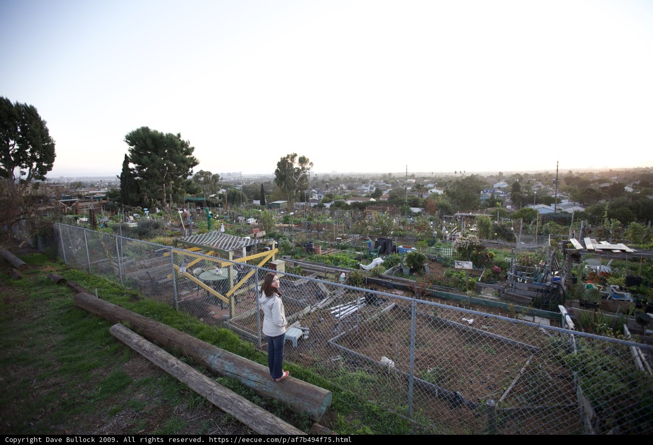 Serenity at the Community Garden