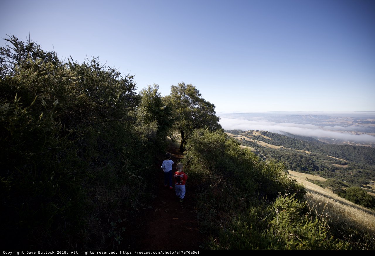 Children Hiking Above the Clouds on Mt. Diablo