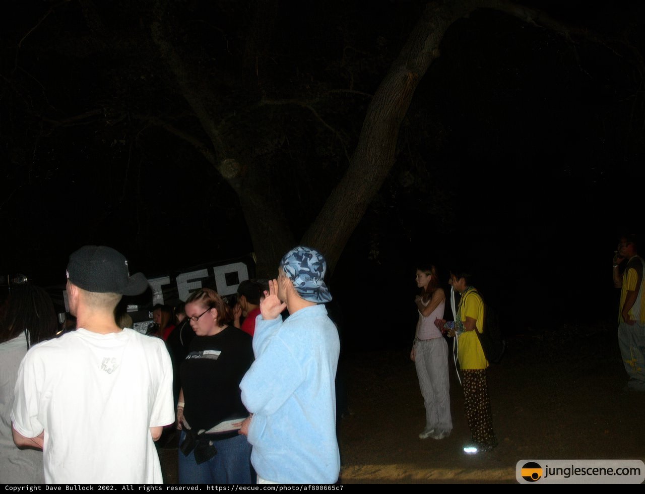Midnight Gathering