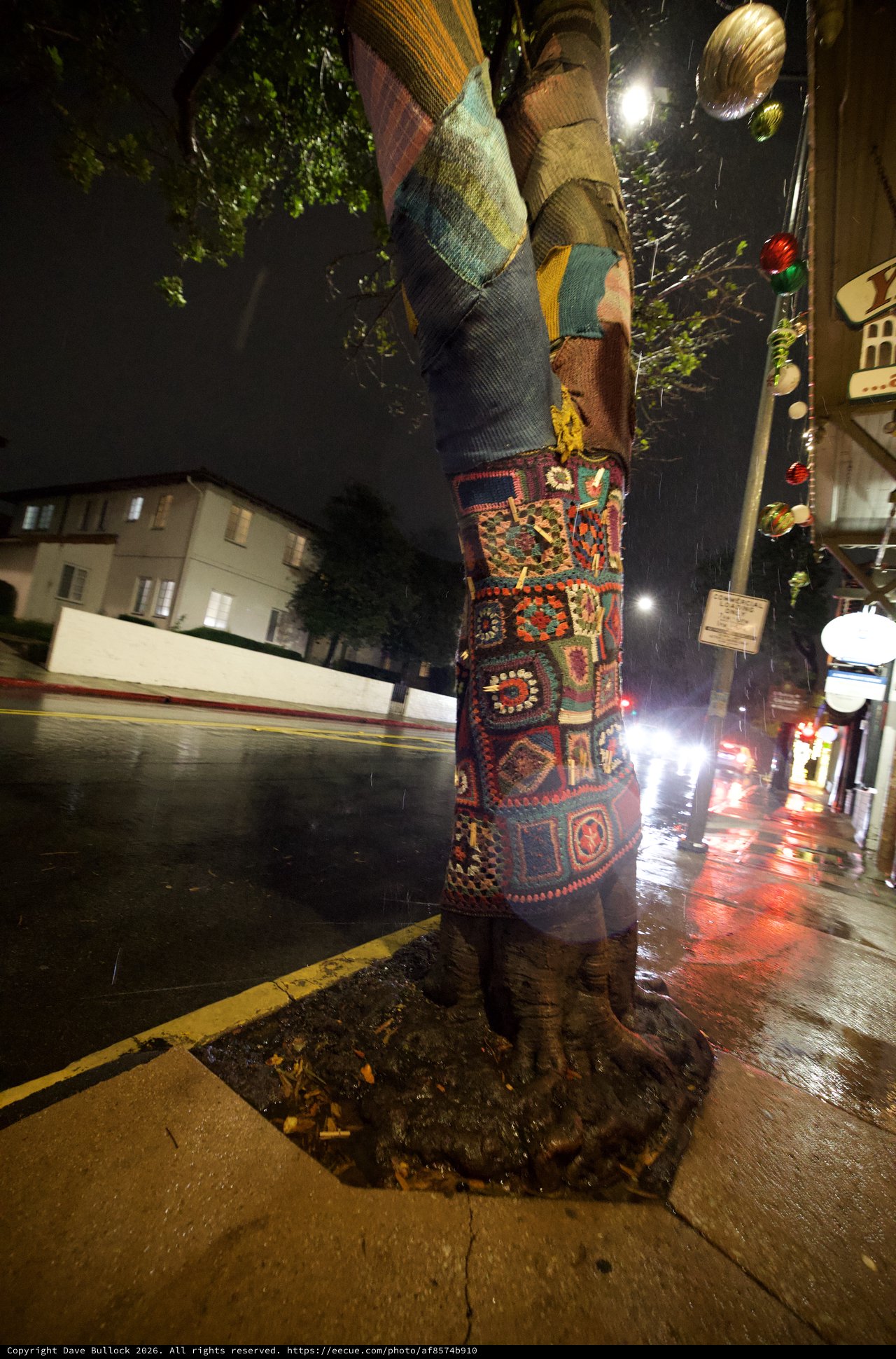 Yarn-Bombed Tree in Rain on City Street at Night