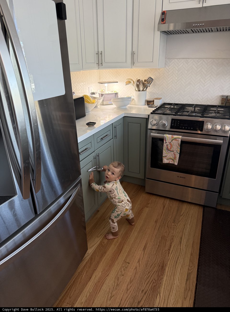 Curious Explorers in the Kitchen