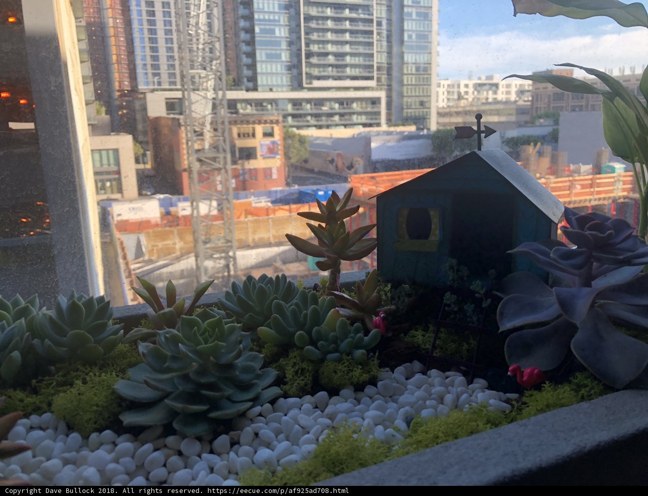 Serene House among City Scapes