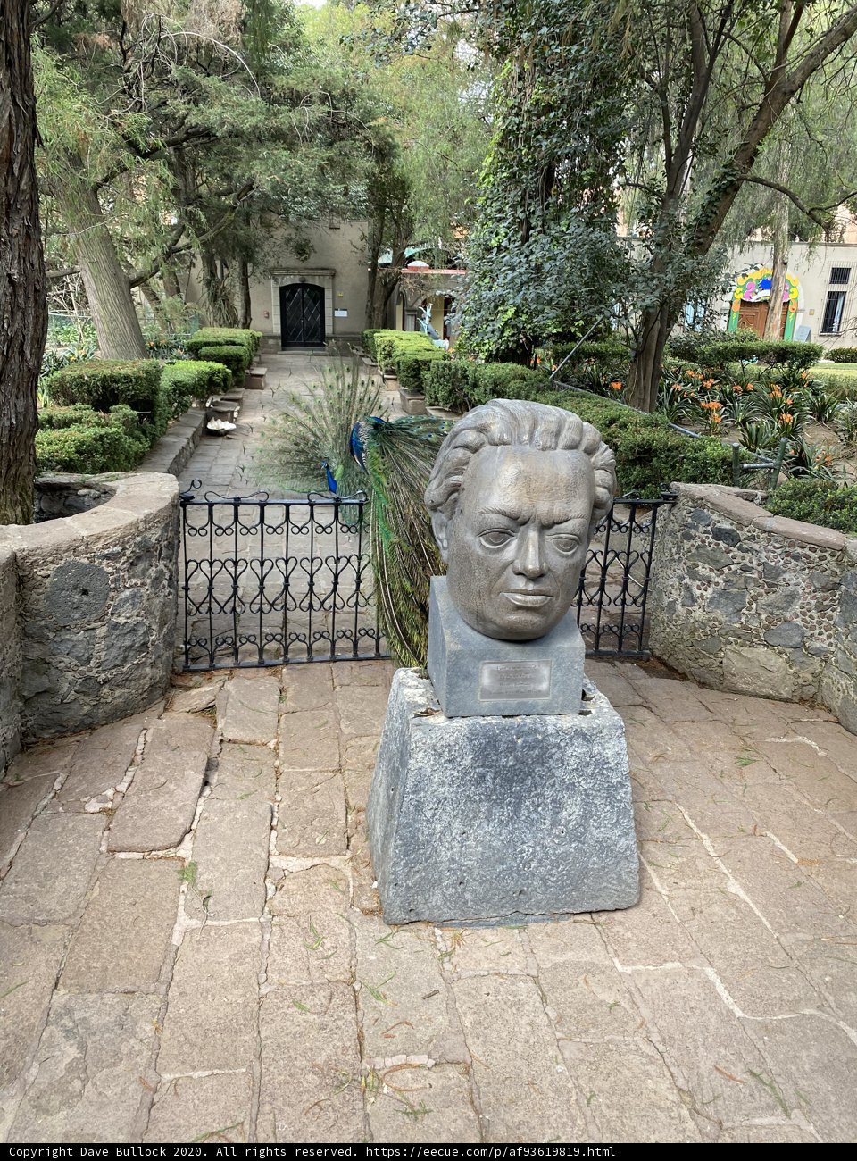 Man in the Garden