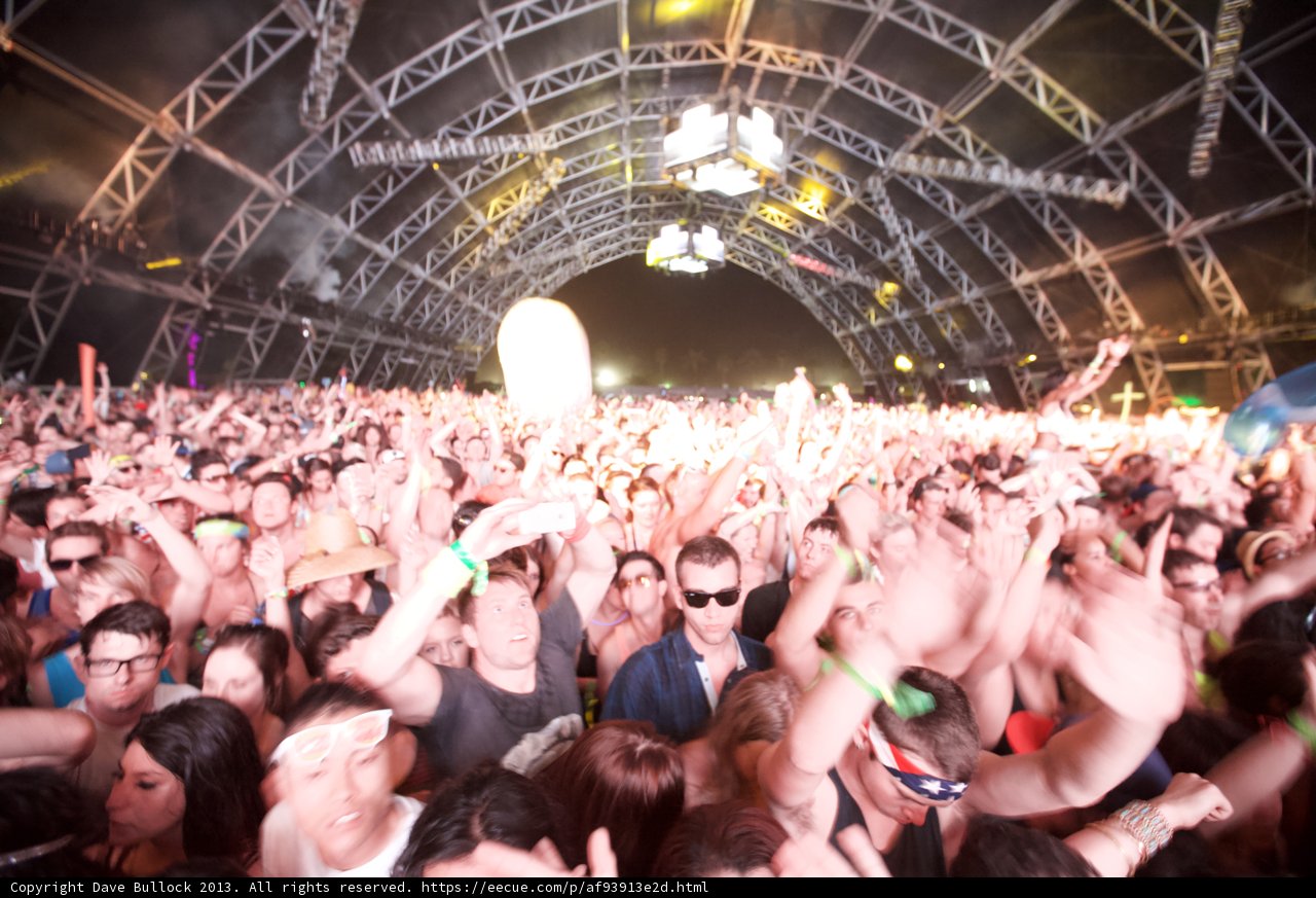 The Electric Crowd at Coachella