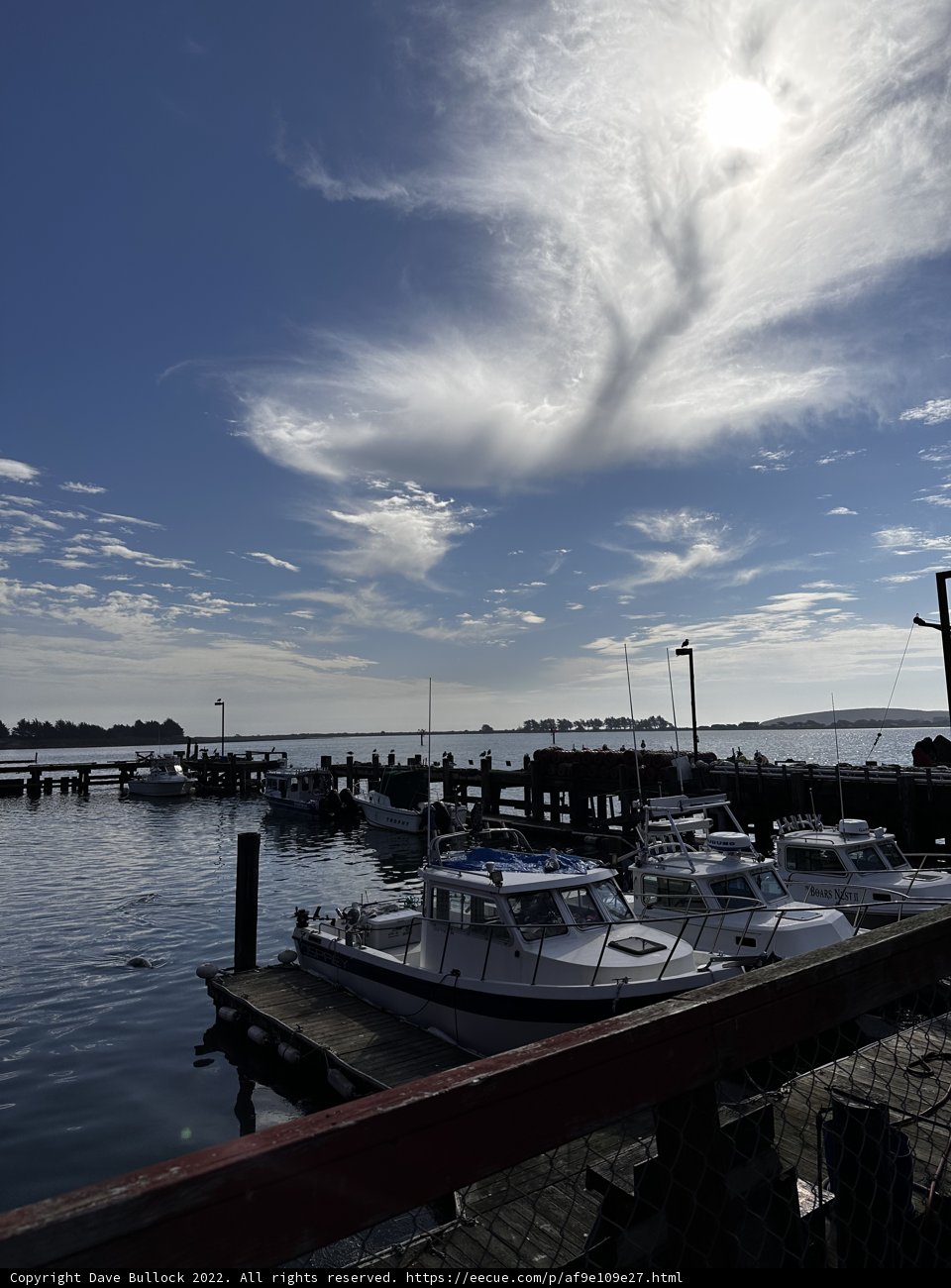 Boats by the Harbor