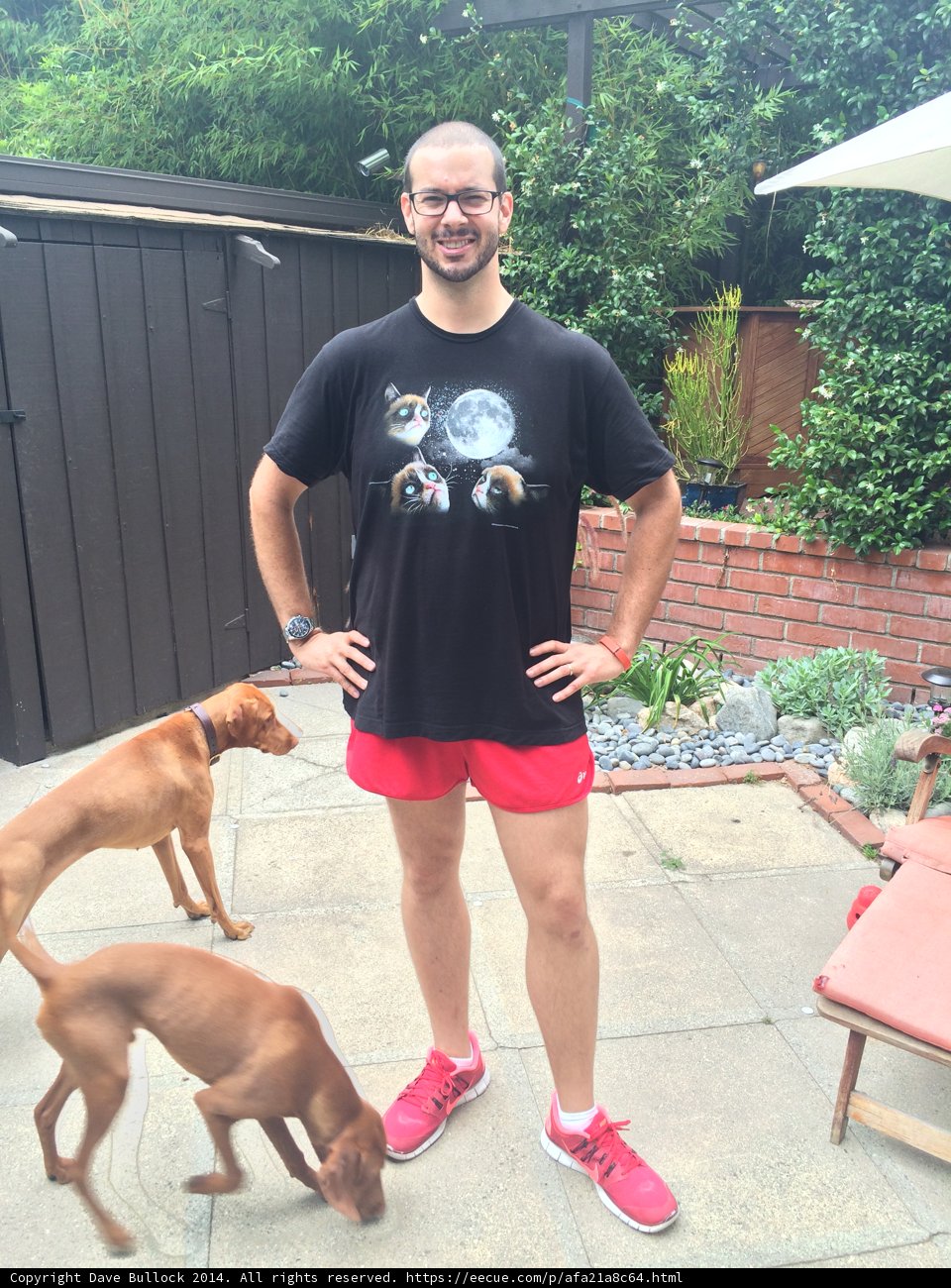 Man and His Furry Friends