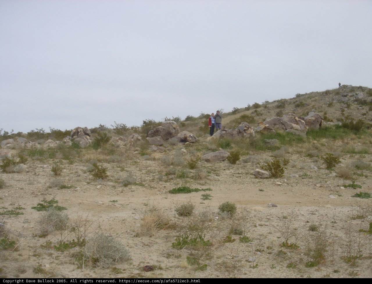 Desert Vistas