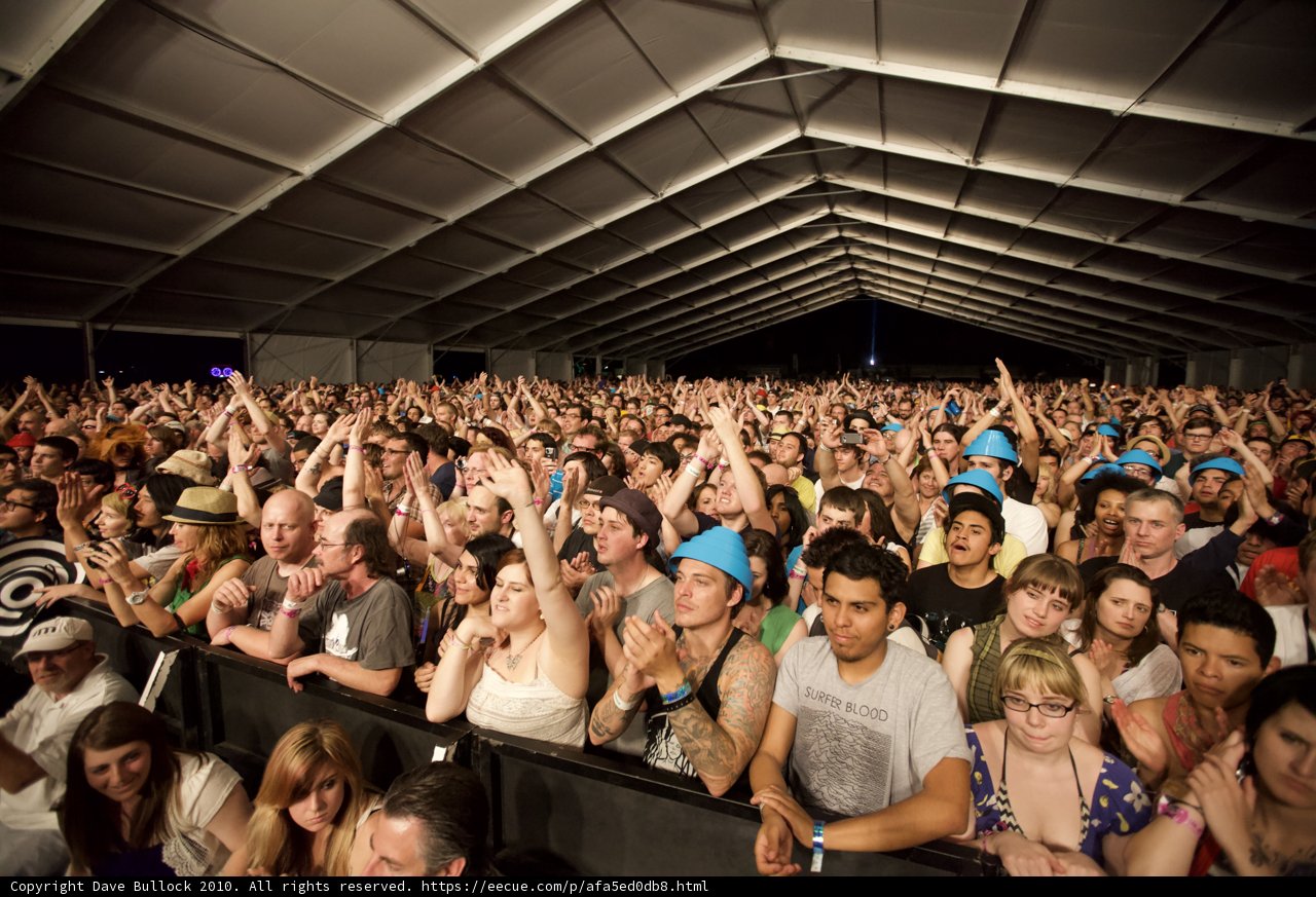 The Wild Crowd at Coachella Music Festival