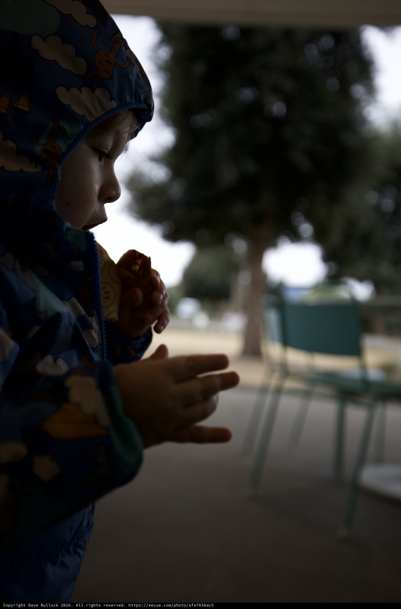 Child in Prayer Before Mealtime