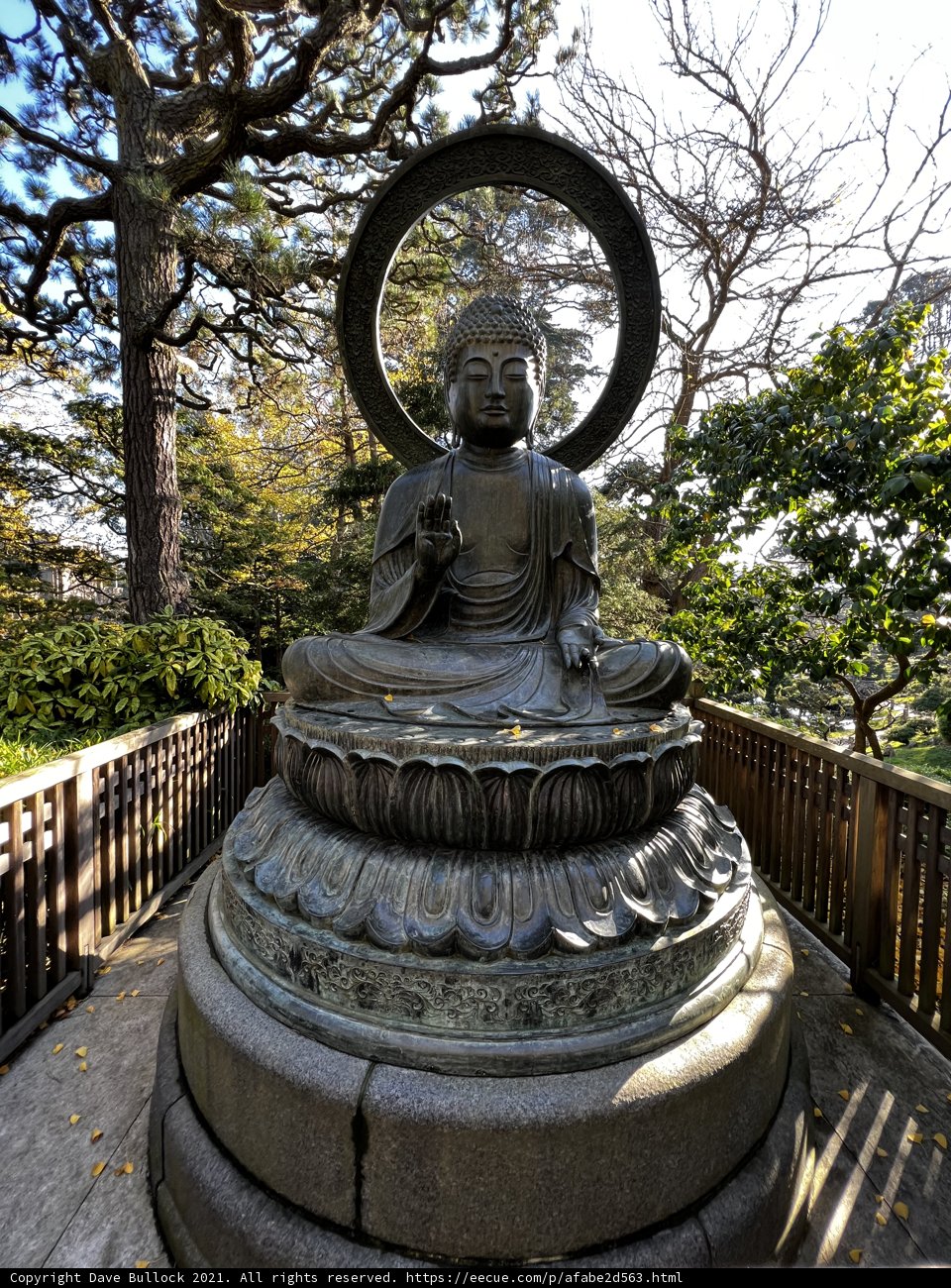 Serenity in the Garden