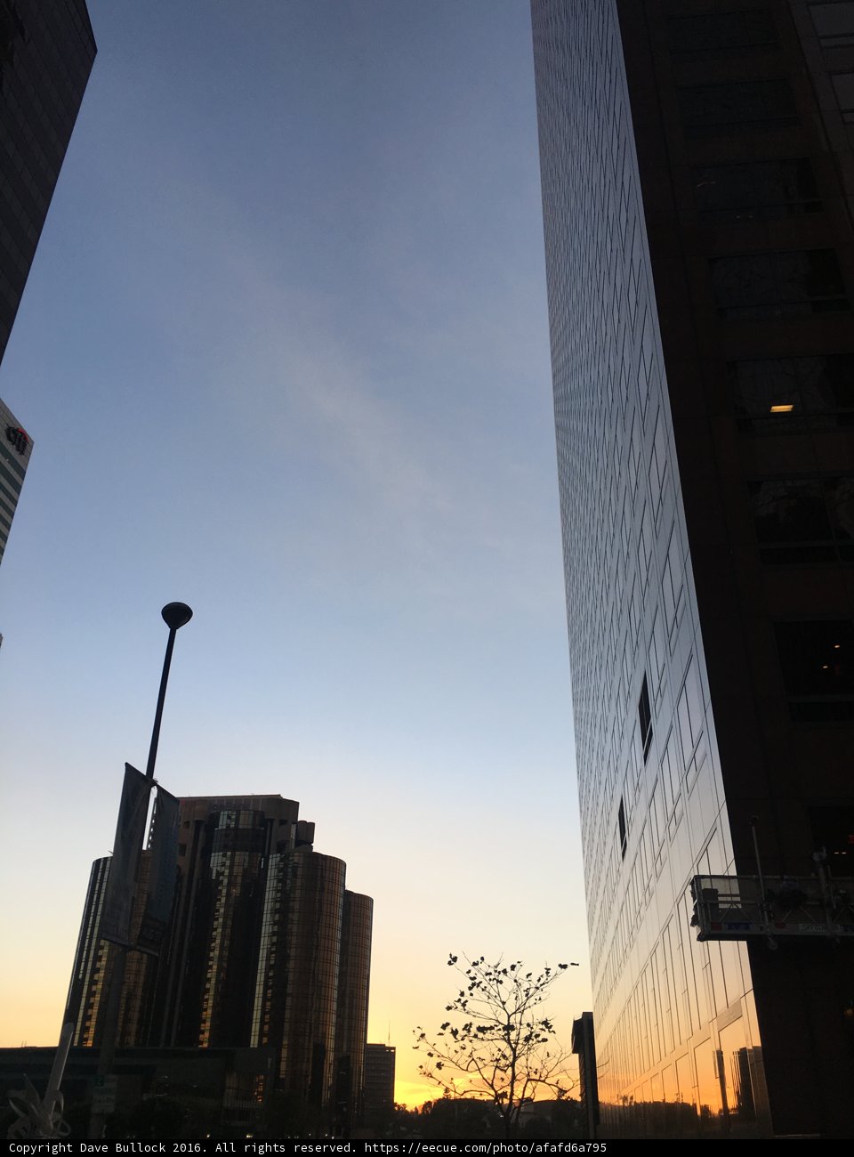 The Metropolis Skyline at Sunset