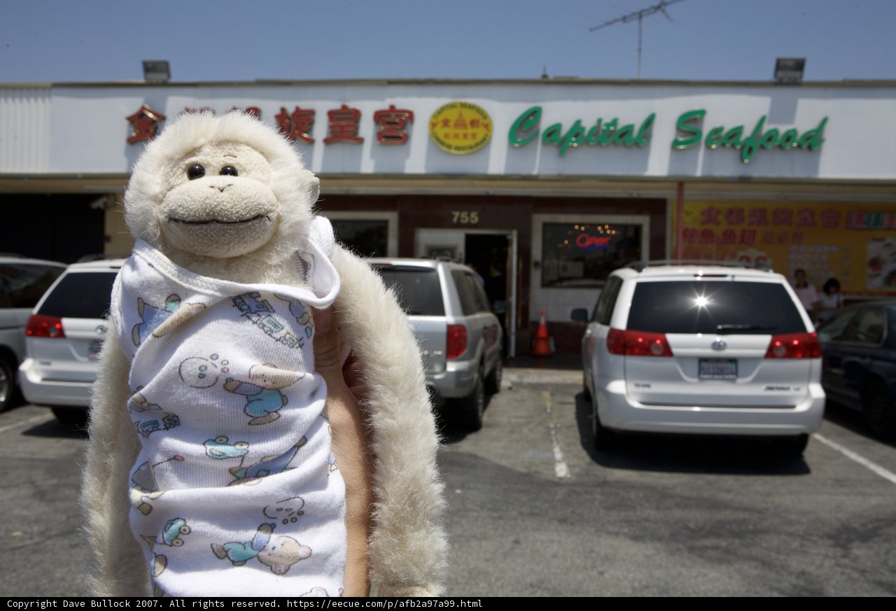 Plush Primate in Parking Lot
