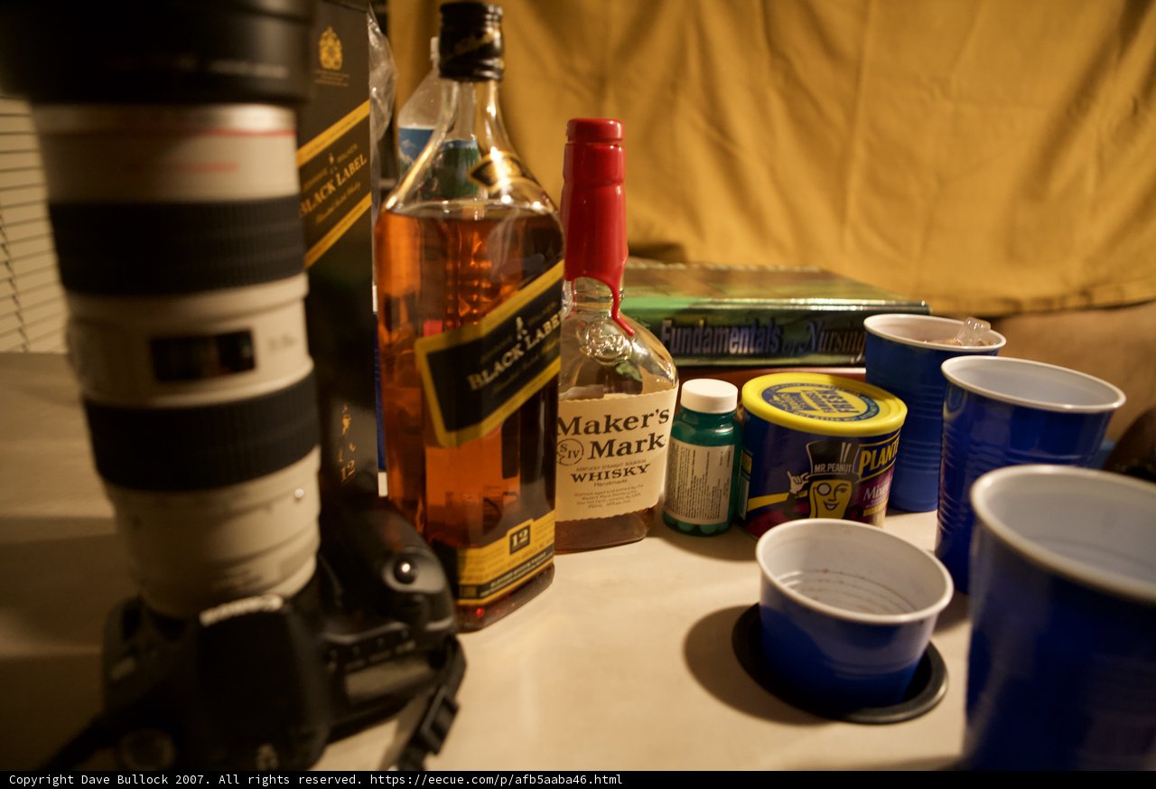 Booze and Cameras at Coachella