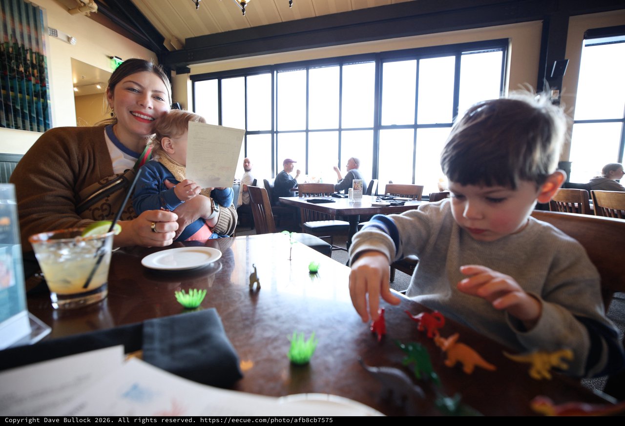 Family Meal with Toy Dinosaurs at Restaurant