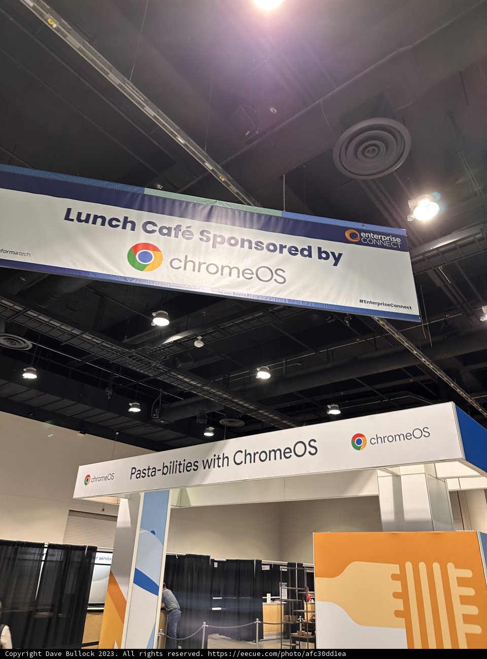 Google's Dynamic Presence at CES 2019