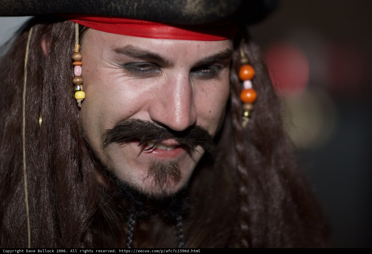 The Bearded Captain