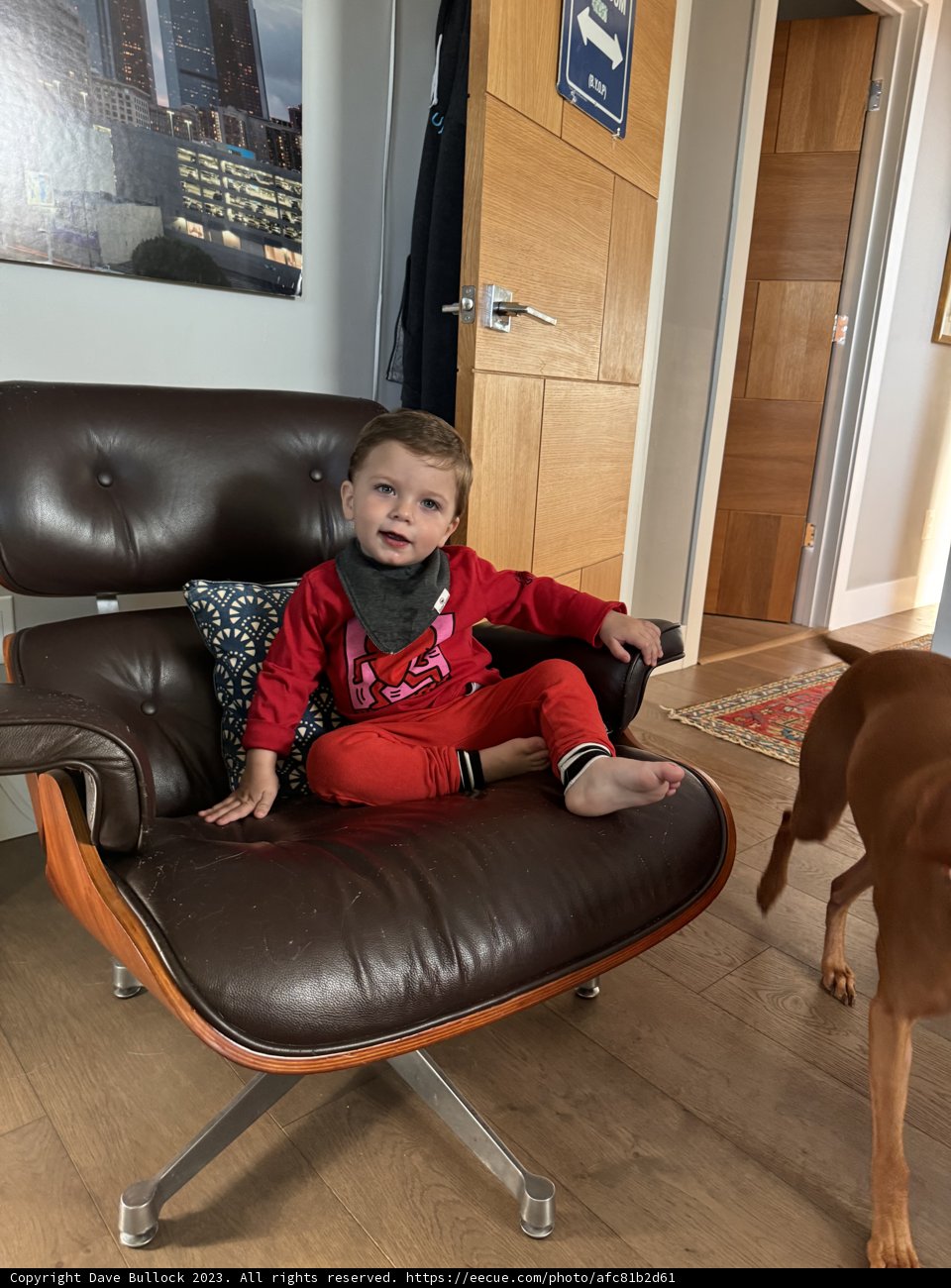 Morning Moments: Wesley and his Loyal Friend