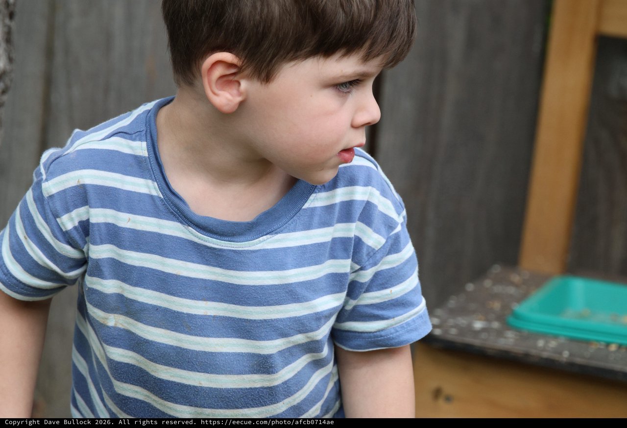 Young Boy in Striped Shirt Observing Outdoors