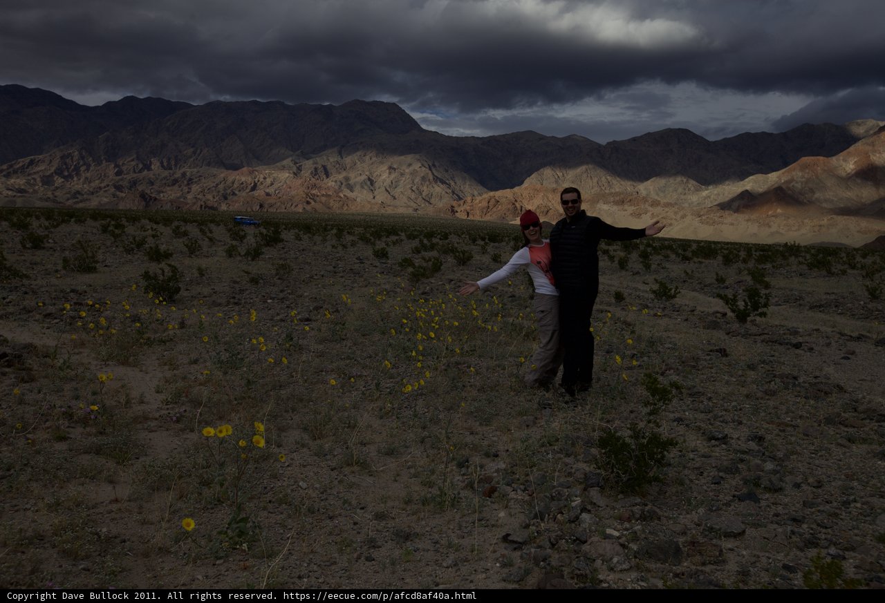 A Desert Romance